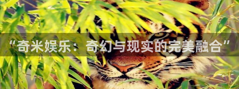 草莓视频午夜在线观影