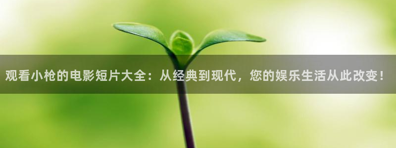 午夜不卡视频在线观看