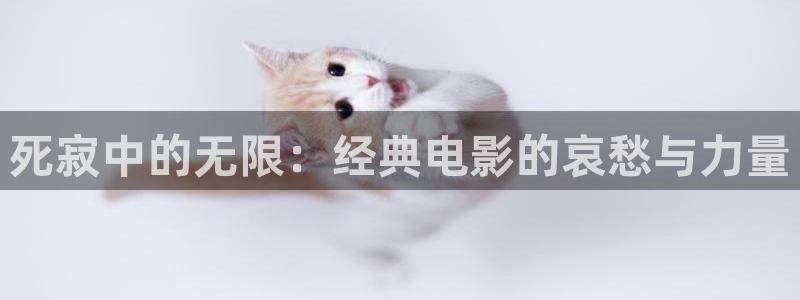 97影院午夜伦不卡