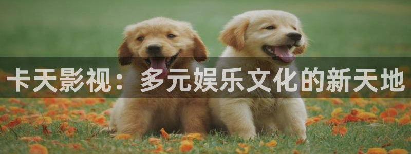 午夜电影哗啦啦在线观看