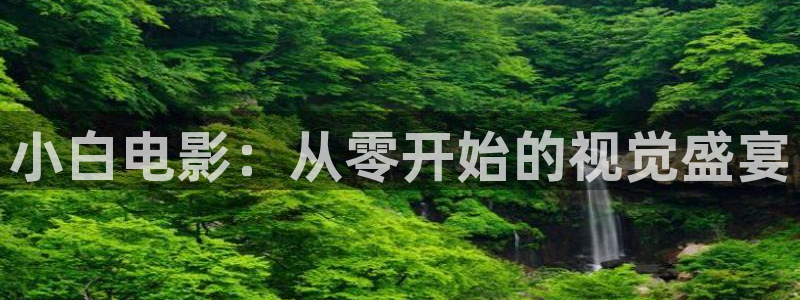 韩国电影午夜街