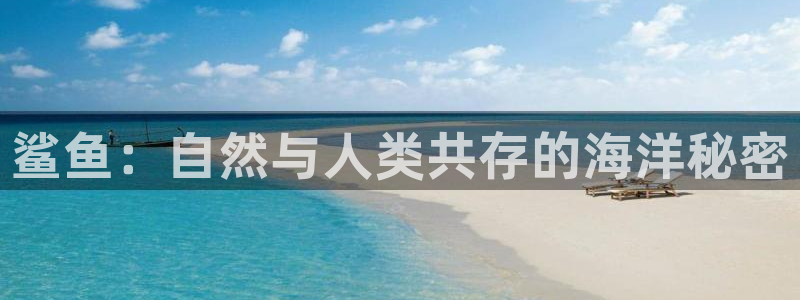 韩国在线三级午夜理论