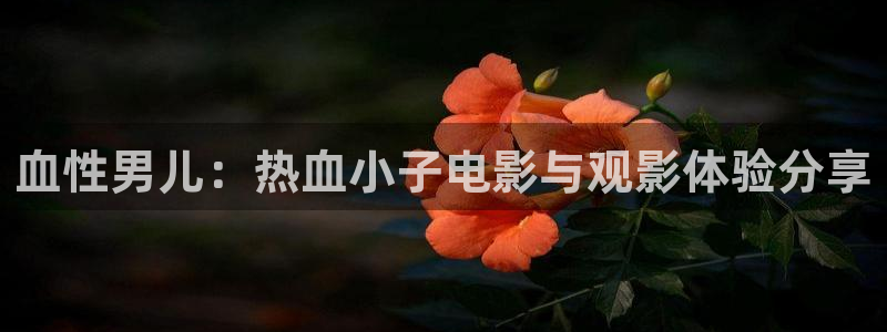 91午夜影院网