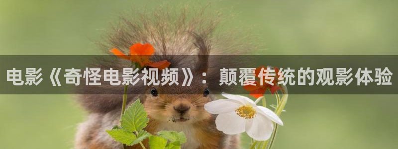 啊啊啊午夜影院