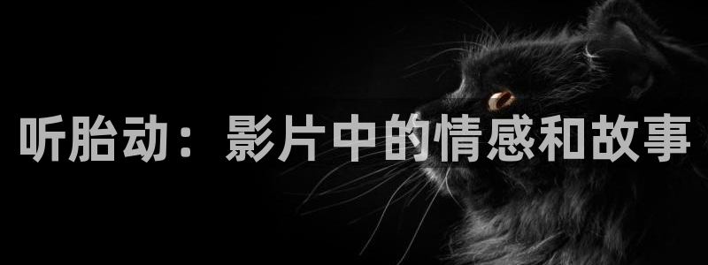97影视午夜场