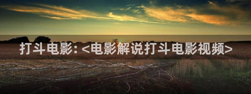 美女午夜大片 免费