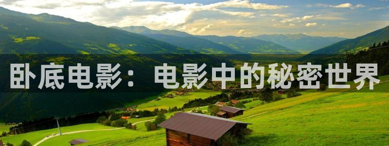 午夜免费观看视频在线