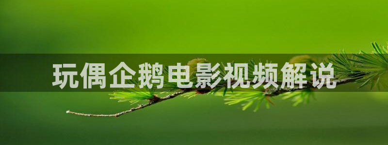 午夜电影解说