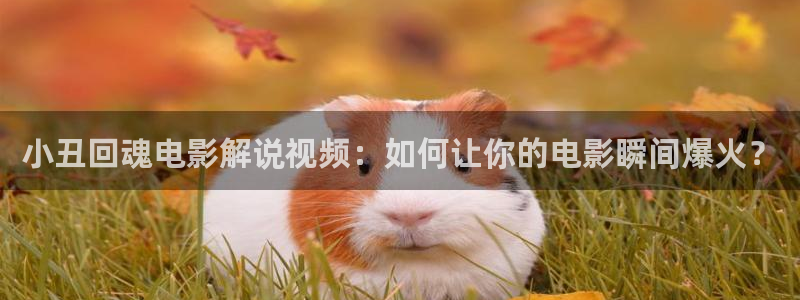 色午夜在线视频